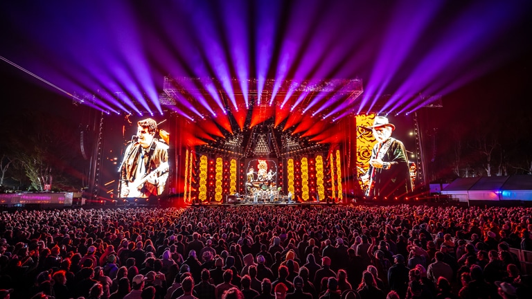 PANTHER in Golden Gate Park